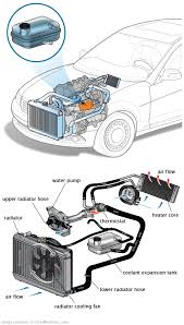 See C1568 repair manual